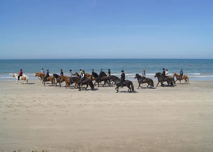 营地 Gl. Klitgaard &